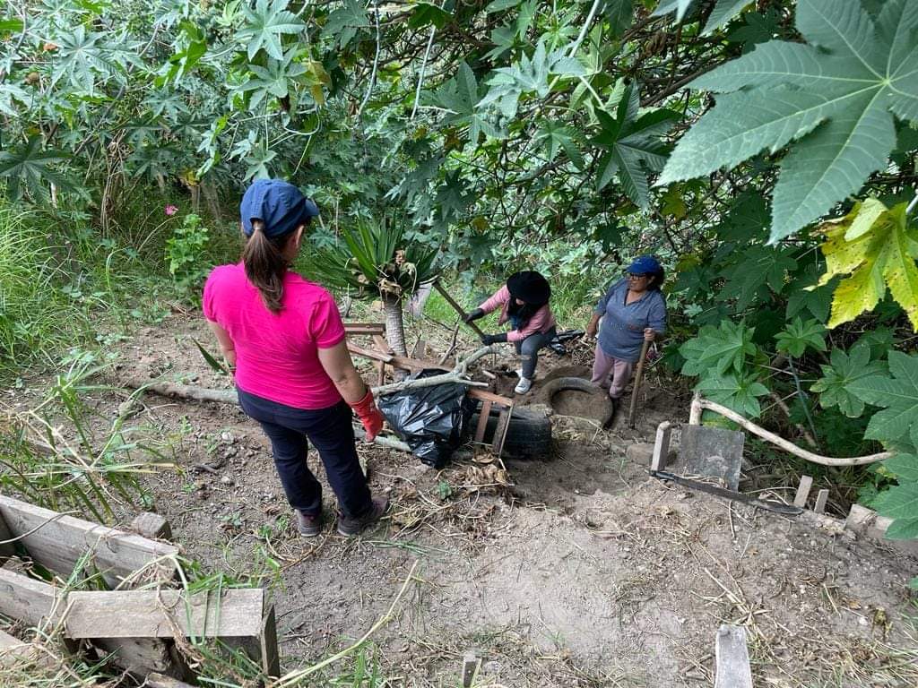 Reforestación y restauración ecológica
