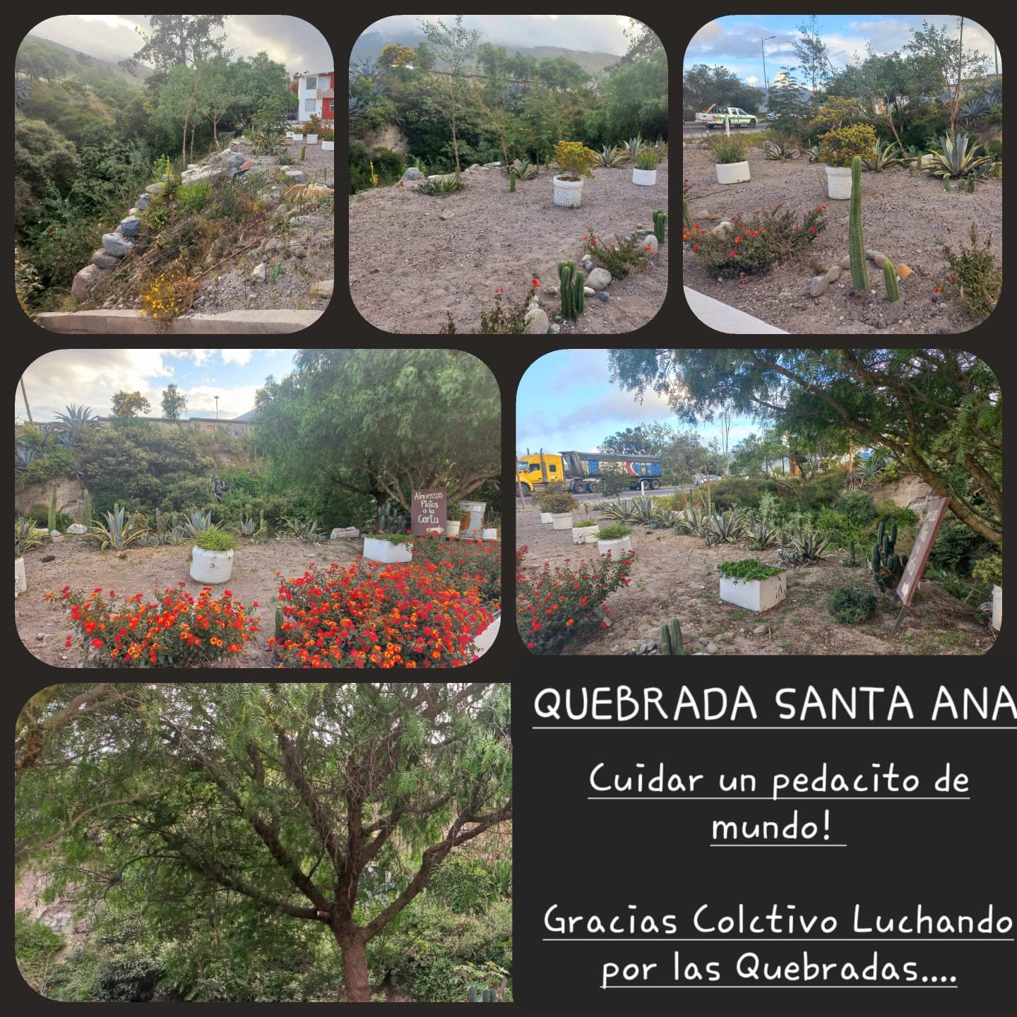 QUEBRADA SANTA ANA -  ELTHER H